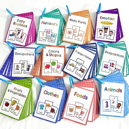 Lachilly 12 Themes Learning Flashcards, High Frequency Words, Beginning Reading, Kindergarten to 1st Grade, ESL Teaching Materials, Autism Learning Materials, Vocabulary Building, 205 Cards, 386 Words