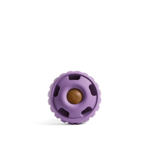 The Pupsicle – Woof