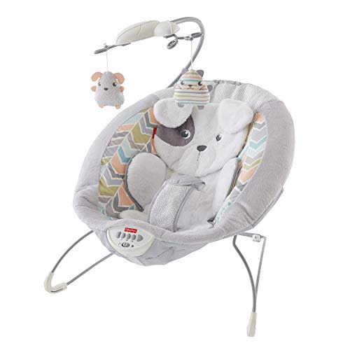Fisher-Price Sweet Snugapuppy Deluxe Bouncer, portable bouncing baby seat with overhead mobile, music, and calming vibrations