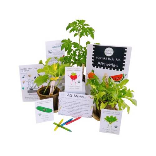 HortikiPlants Kids Organic Garden Kit