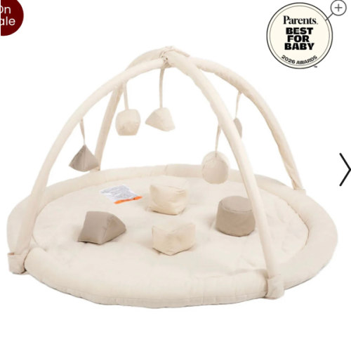 Snuggle Me Play Gym