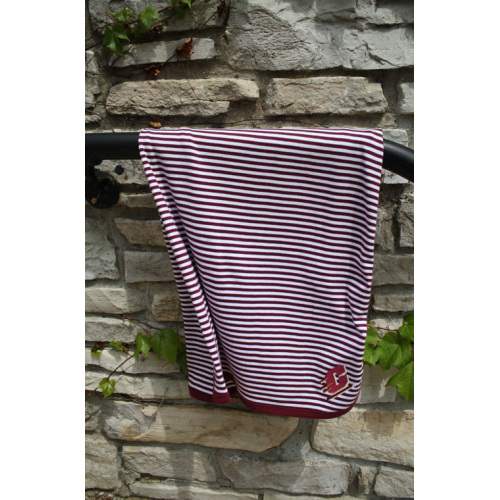 Striped Action C Baby Blanket | The CMU Bookstore
