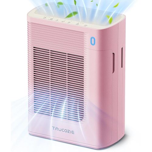 Air Purifier for Home Large Room Bedroom Up to 1937 Ft² in 1 Hr With Double-sided Air Inlet, Air Quality and Light Sensors, HEPA Sleep Mode for Allergies, Dust, Pollen, Pet Hair, Pink