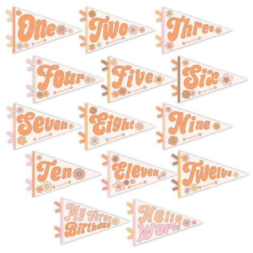 Flower Child Petit Milestone Pennant Default Title