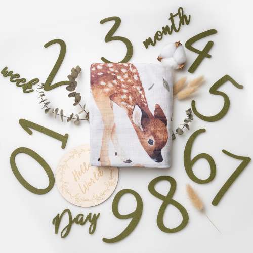 Organic Cotton Muslin Milestone Blanket| Woodland