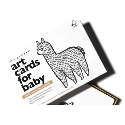 Art Cards for Baby