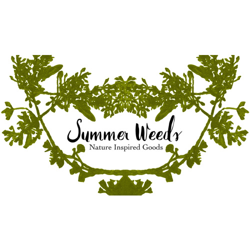 North American Birds Identification Poster 16x20 - Summer Weeds