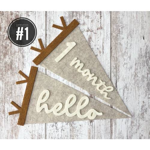 Monthly milestones interchangeable flag for baby photos, newborn photo prop first year, felt neutral pennant, baby shower gift