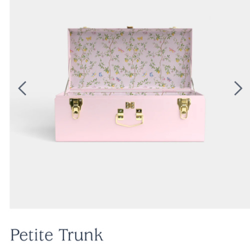 Petite Trunk - Light pink | Petite Keep