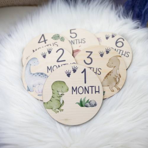 Dinosaur Milestone Cards Baby Milestone Dinosaur Discs - Etsy