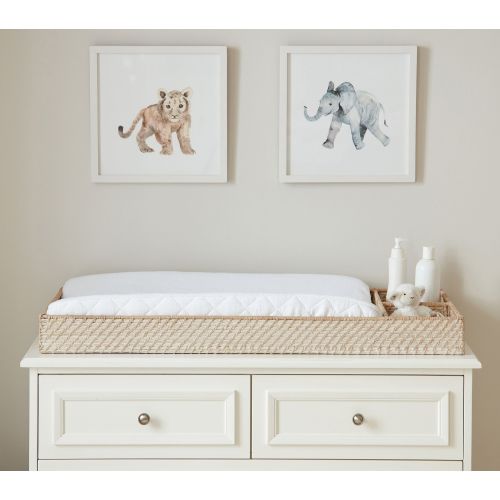 Quinn Changing Station