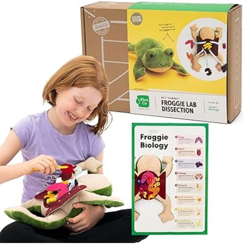 KiwiCo Froggie Lab Dissection Plush Toy - Anatomy Learning Toy for Ages 3 and Up