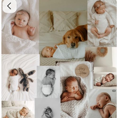 Family & Newborn In-Home Photoshoot - $300