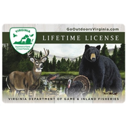 lifetime fishing license