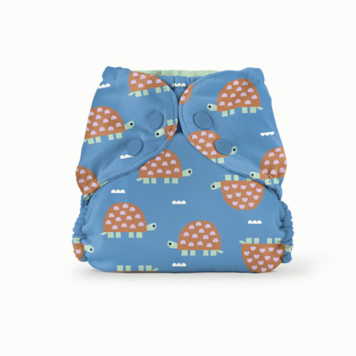 Outer–Turtles / One