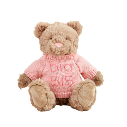 Big Sis Plush Bear