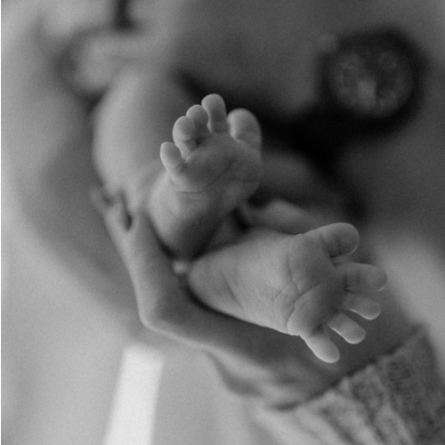 Newborn/family photos