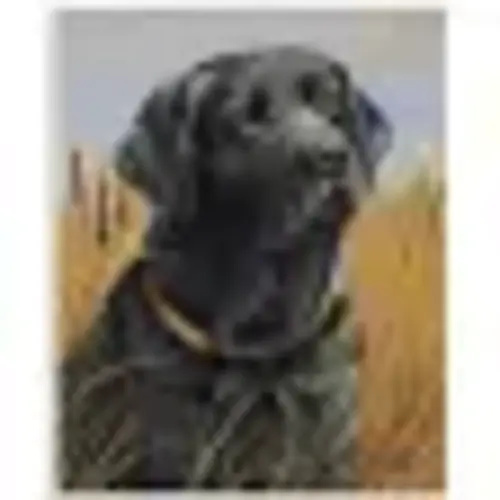 black lab nursery decor - Google Search
