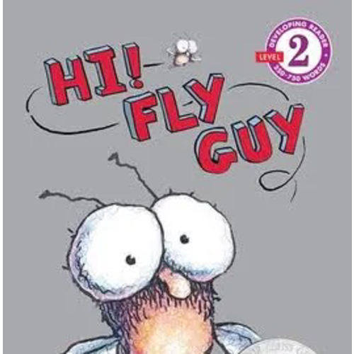 Hi! Fly Guy