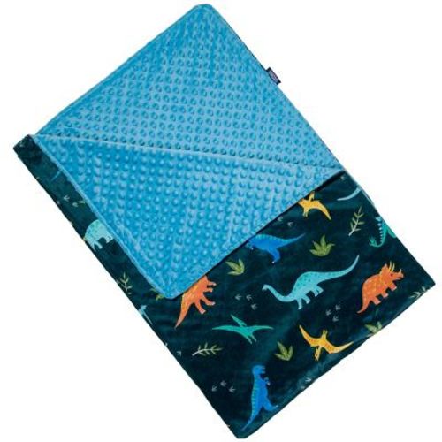 Wildkin Kids Jurassic Dinosaurs Plush Throw Blanket