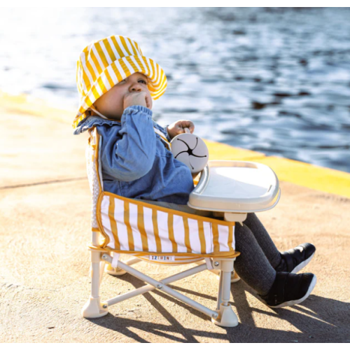 Brighton portable booster chair