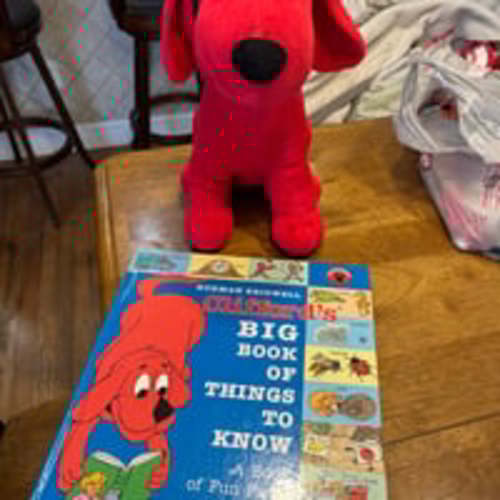 Like new! Clifford plush with a book