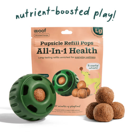 All-In-1 Wellness Pupsicle Refills