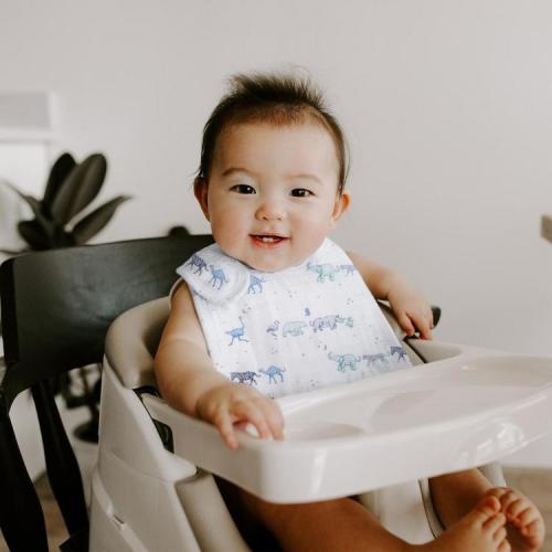 Aden + Anais, Boutique Assorted Snap Bib, Set of 3 | Zola Baby