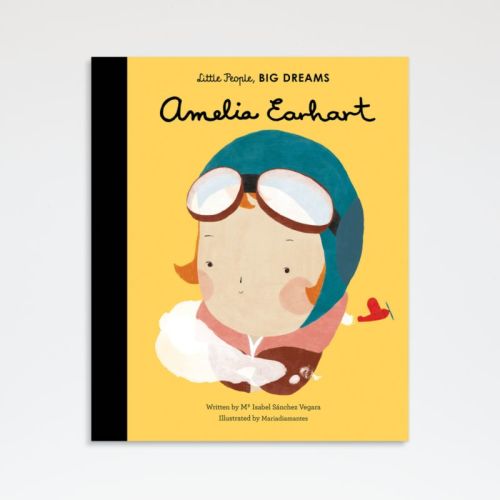 Little People Big Dreams: Amelia Earhart Kids Book by Maria Isabel Sanchez Vegara