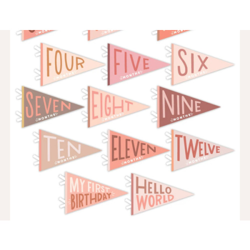 Blushing Meadow Petit Milestone Pennant – Maisonette