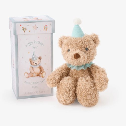 Aqua Birthday Bear Plush Toy w/ Gift Box – Elegant Baby