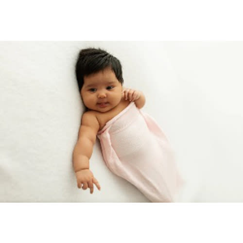 Pink Swaddle Sleep Sack – Swaddelini