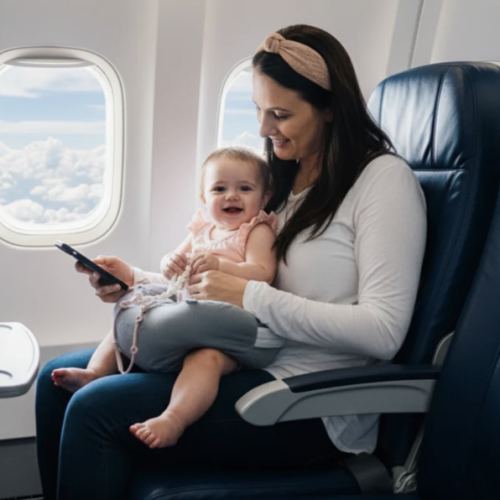 The Winglet®