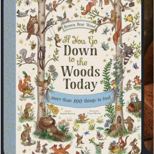 If You Go Down to the Woods Today: A Search and Find Adventure (Brown Bear Wood)