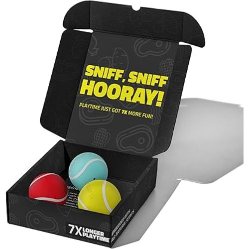 Playology Dog Toys | Rainbow of Scent Chew Toy Gift Box - Medium Squeaky Chew Balls for Dogs | Peanut Butter, Chicken, & Beef Scented Toys - Easy to Clean and Made from Non Toxic Materials
