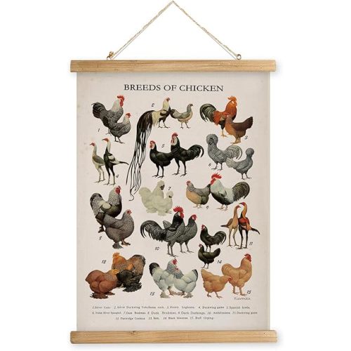 XIAOAIKA Vintage-Inspired Chicken Breeds Art Print - Educational Wall Hanging Poster with Wooden Frame - Rustic Farmhouse Decor, Perfect for Kitchen or Classroom 16 x 23 Inches