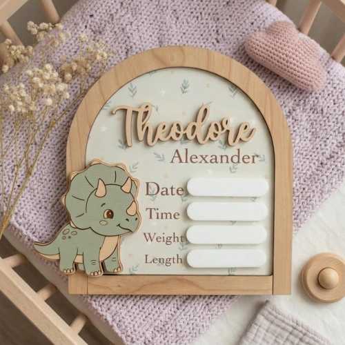 Personalized Dinosaur Birth Announcement Sign, Triceratops Nursery Name Sign, Newborn Stats Board, Dino Theme Baby Name Plate, Baby Boy Gift