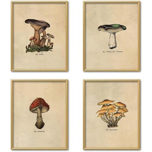 TFKFJLF Vintage Mushroom Wall Art Poster, Farmhouse Botanical Wall Decor, Retro Mushroom Paintings Cottagecore Room Decor, Neutral Earthy Posters for Kitchen Bedroom Nursery, 8x10 Inches Unframed