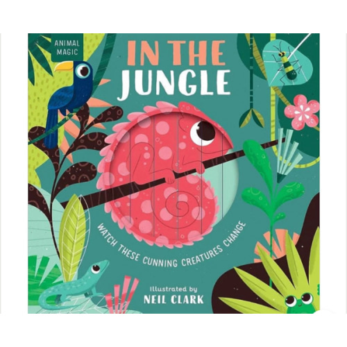 In The Jungle - Board Book – Pacifier Kids Boutique