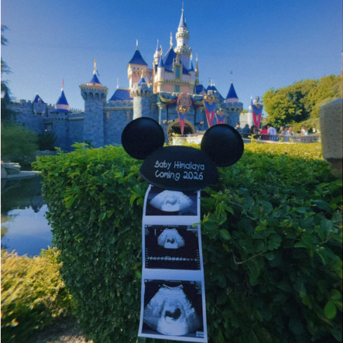 Baby’s first trip ✨🐭🏰🩷