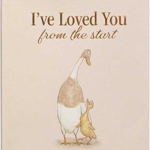 I've Loved You from the Start: A Tender Story of Unconditional Love (Tabitha Paige Children's Book Series)