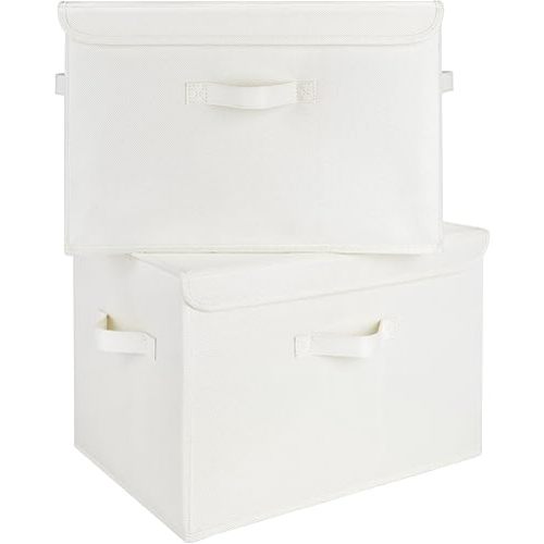 GRANNY SAYS Storage Boxes with Lids, Large Storage Bins with Lids, Decorative Box, Shelves Baskets, Clothes Storage and Organization, 2-Pack