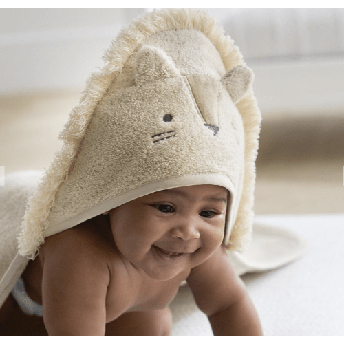 Super Soft Lion Baby Hooded Towel & Wash Cloth