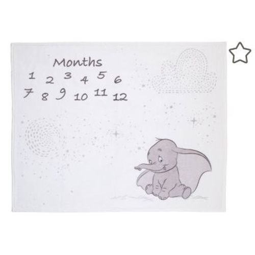 Disney Dumbo Super Soft Milestone Baby Blanket: Microfiber, Figures Theme, Double-Turned Hems, Disney Licensed
