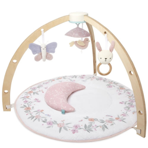 Baby Gym | Premium Baby Activity Gym | aden + anais