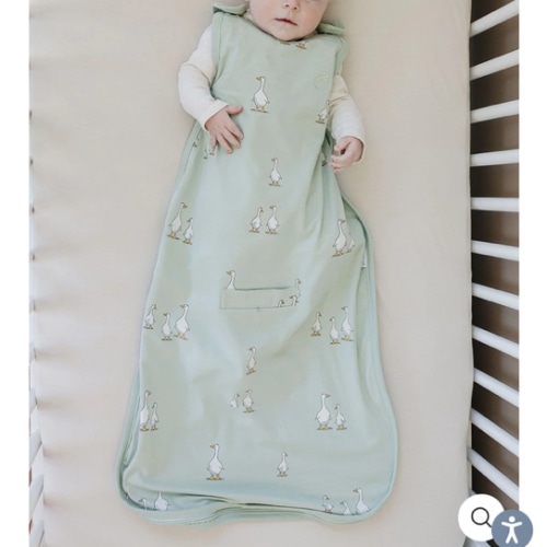 Ecolino® Adjustable Baby Sleep Bag, Universal Size: 2 Months - 2 Years, Goose