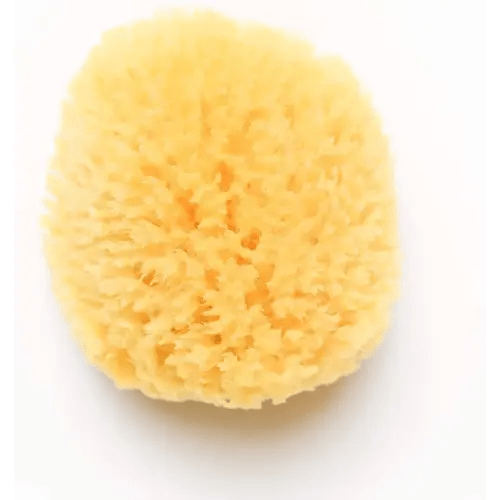 Kyte Baby Natural Sea Sponge, 4 to 5 Inches