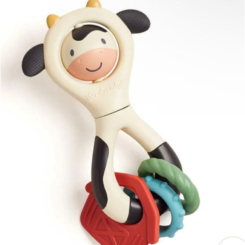 Itzy Spinner™ Rattle