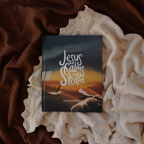 Jesus Calms the Storm | TDGC – The Daily Grace Co.