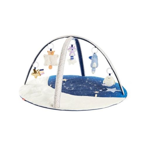 Skip Hop Celestial Dreams Activity Gym